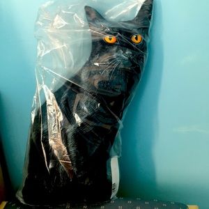 Cat Pillow
